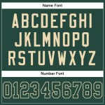 Groen-crèmegroen shirt met aangepaste mesh, authentieke voetbal Groen-crèmegroen shirt met aangepaste mesh, authentieke voetbal